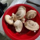 종산농장 이미지