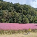 동호유적근린공원 이미지