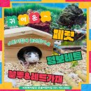 은솔어린이집 이미지