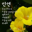 인셀덤 늘해랑 네이버블로그