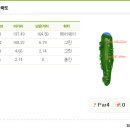 [다]시 숙희랑 간 스크린 골프 스코아는 11오버파 83[타] 이미지