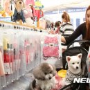 개린이집 이미지