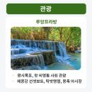 힐링쇼핑