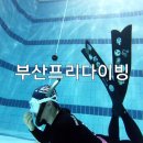 트루다이브 코리아 네이버블로그