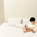 테마민박가든 이미지