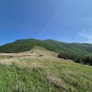 안심사슴농장 이미지