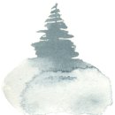 Coniferous Forest Art Collection 이미지