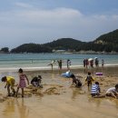 남해-310 이미지