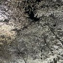 경주방학
