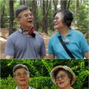 양지운