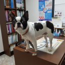 달서천로 이미지