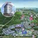 트인자리애 2차 이미지