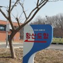 황산도 | 강화도 숨은 바다 명소 황산도항, 조용한 항구 풍경 후기