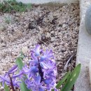 수경민박 이미지