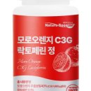 오렌지빠 이미지