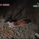 이쯤에서 다시보는 전성기 1박2일 수준 이미지