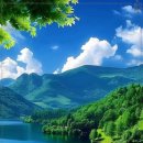 자연-이미지 이미지