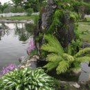 언덕위에하얀집 이미지