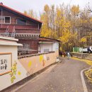 은행나무숲 주차장 부근 이미지