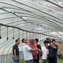 싱싱팜농장 이미지