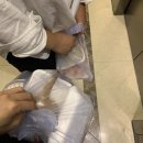 막썰어회도매센타 이미지