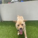 포우농장 이미지