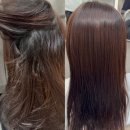 상대동8 | 대전 봉명동 미용실 상대동 미용실 프로젝트루어 망한머리 복구펌 후기