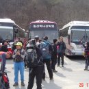 전북 고창 선운산 도립공원(2009년 3월 29일) 이미지