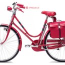 자전거마니아 이미지