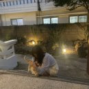 화순양옥 | 제주도 서귀포 숙소 화순양옥(한옥 독채) 후기