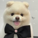 멍발소 하우스 이미지