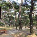 송림공원 이미지