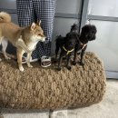 호텔자유 이미지