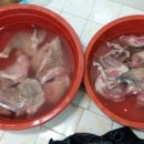 야영장민박 티스토리