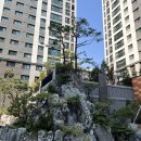 스타프라자전통시장 이미지