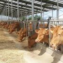 동일축산 이미지