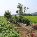 원정 농장 이미지