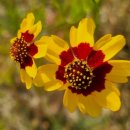 문화광장(공원) 이미지