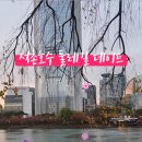 석촌근린공원 공원화장실 이미지