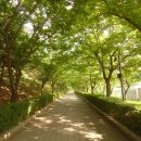 화성시청 민원동 | 병인박해의 현장, 화성 남양성모성지 ①