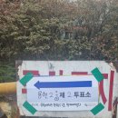 엔샵컴퓨터 이미지