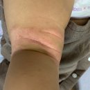 포즈앤치즈스튜디오 네이버블로그