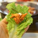채움늘 Daum카페