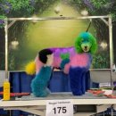 그루밍쇼 이미지