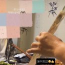 코알라 멜로우(Koala mellow) 이미지