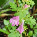 운장산 넘는길 이미지