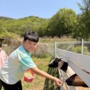 참성장집중력태권도사관학교 | 태권도 쌍암동태권도 첨단태권도 미산초등학교 정암...떠난 MTA미산태권도 송산승마스쿨 봄 나들이 후기"