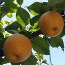 우리맛고을 이미지