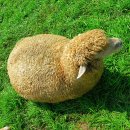 청암목장 이미지