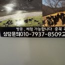 옥천목장 | 대전흑염소진액 직접체험가능한 청하목장 청하웰빙 흑염소진액